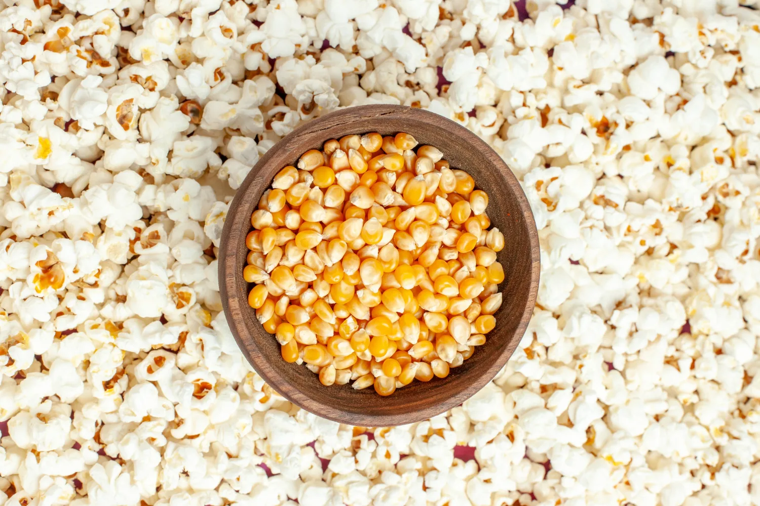 Premium Popcorn Kernels Mauritius - High Expansion Popcorn